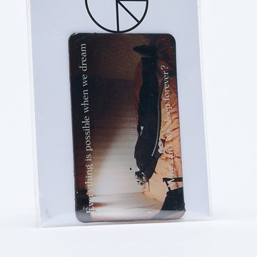 Polar Skate Co - Magnet Everything is Possible (Multi)