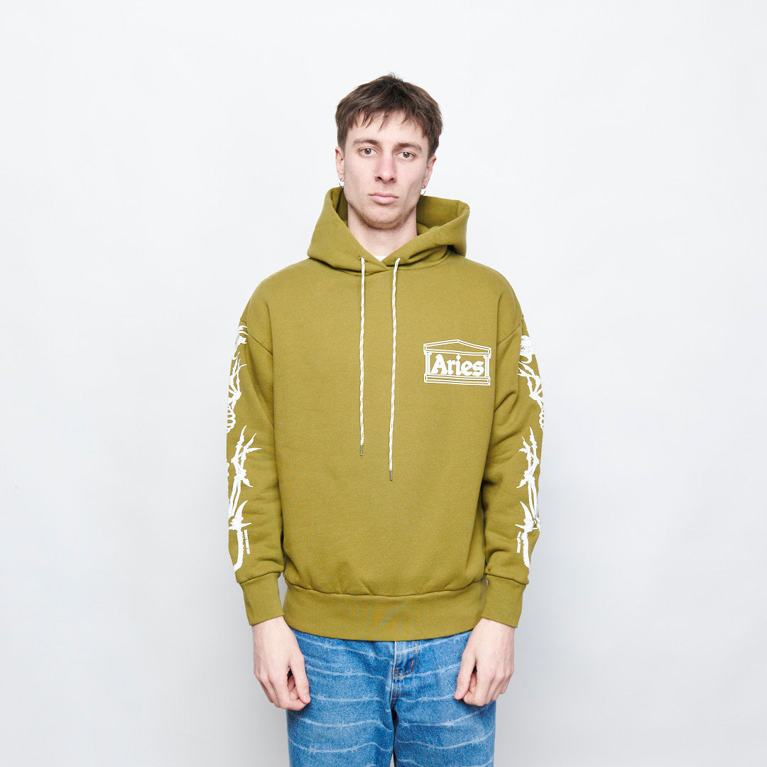 Aries - Dragon Skeletor Hoodie (olive)