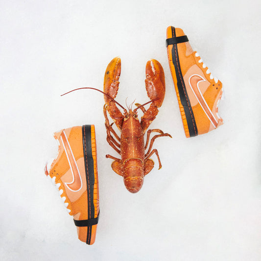 Concepts x Nike SB Dunk Low Orange Lobster