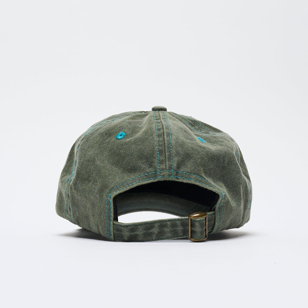 Butter Goods - Swirl 6 Panel Cap (Washed Foliage)