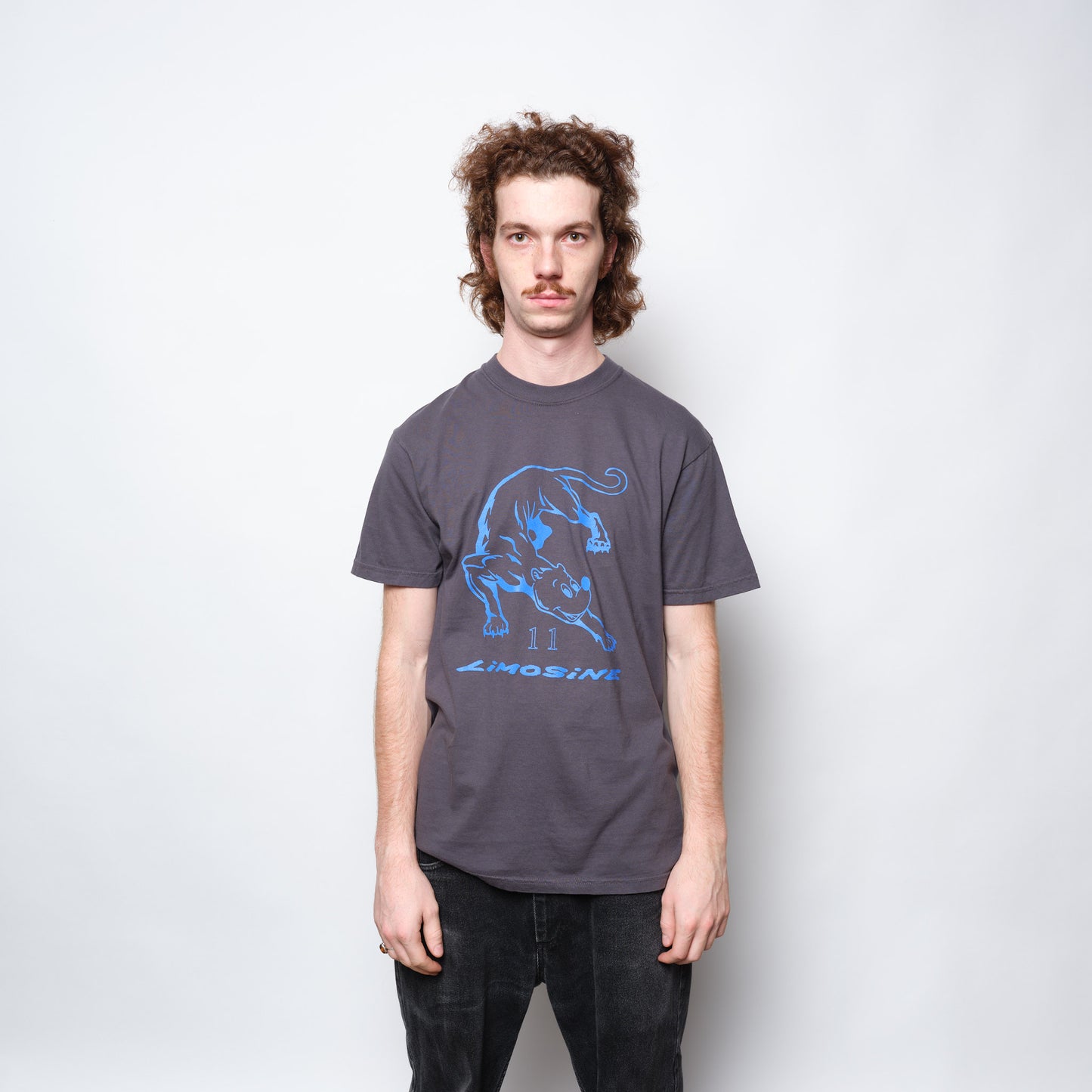 Limosine Skateboards - Panther Tee (Jade)