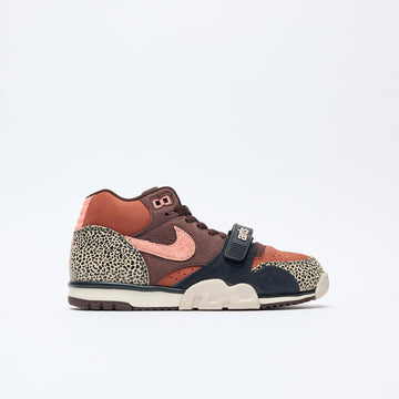 Arts & Rec x Nike SB - Air Trainer 1 Mid (Limestone/Pink Quartz-Earth-Dusty Peach)