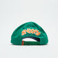 Peanuts x Butter Goods - Music Snapback Cap (Washed Kelly Green/Navy)