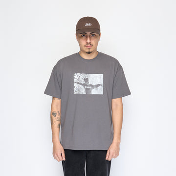 Polar Skate Co -  Sustained Disintegration Tee (Graphite)