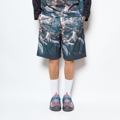 Rassvet - Swan Mesh Short Woven Print (Multi)