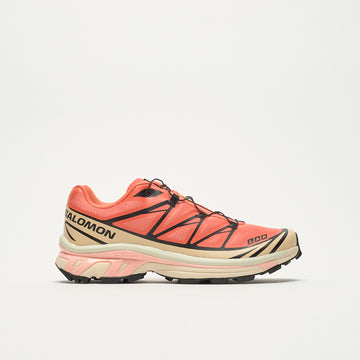 Salomon - XT-6 (Living Coral/Black/Cement)
