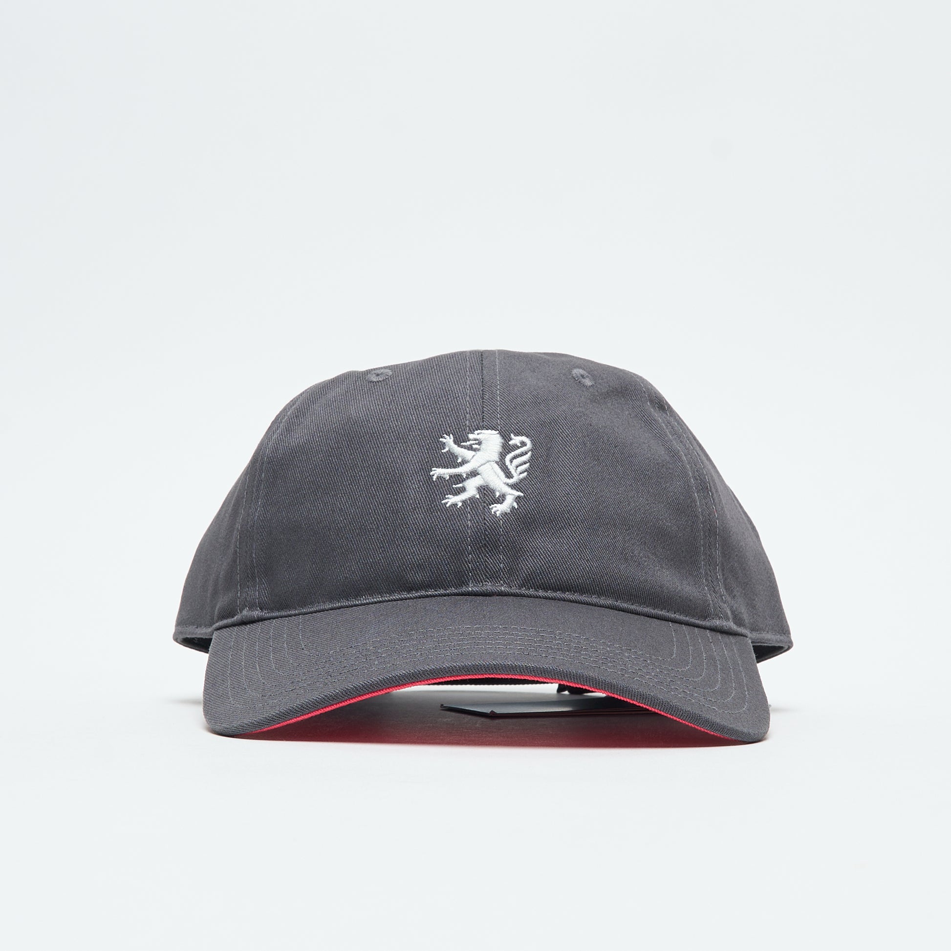 Wallstreet Skateshop x ADIDAS Skateboarding - WS OL 5 Panel Hat (Light Solid Grey)